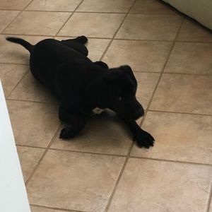 Meet your Posher, Alberta